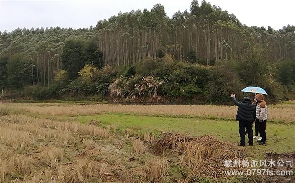 六安市陈老师带着爱徒寻龙点穴